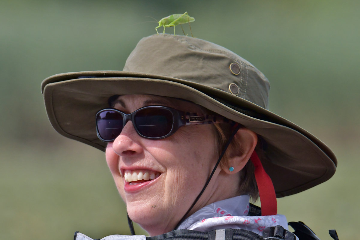 A Katydid Touring Stockport Flats 22