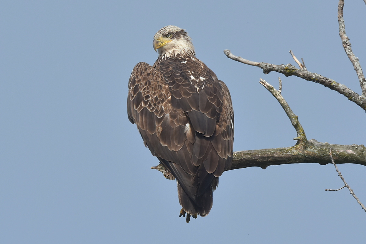 Memorial Day Weekend at Crown Point 03