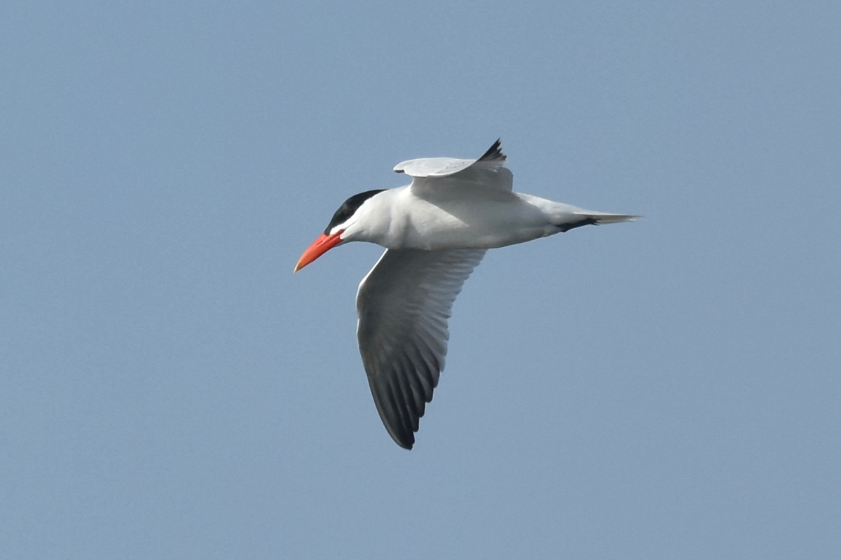 Memorial Day Weekend at Crown Point 04