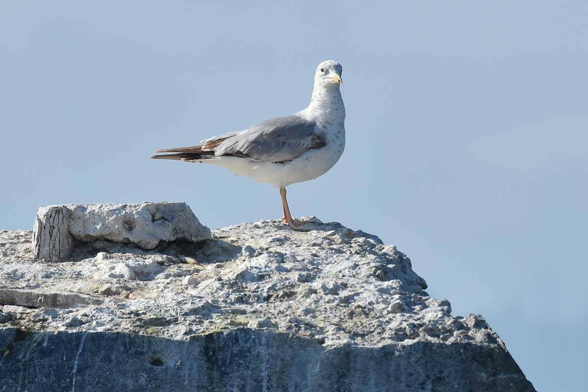 Memorial Day Weekend at Crown Point 06