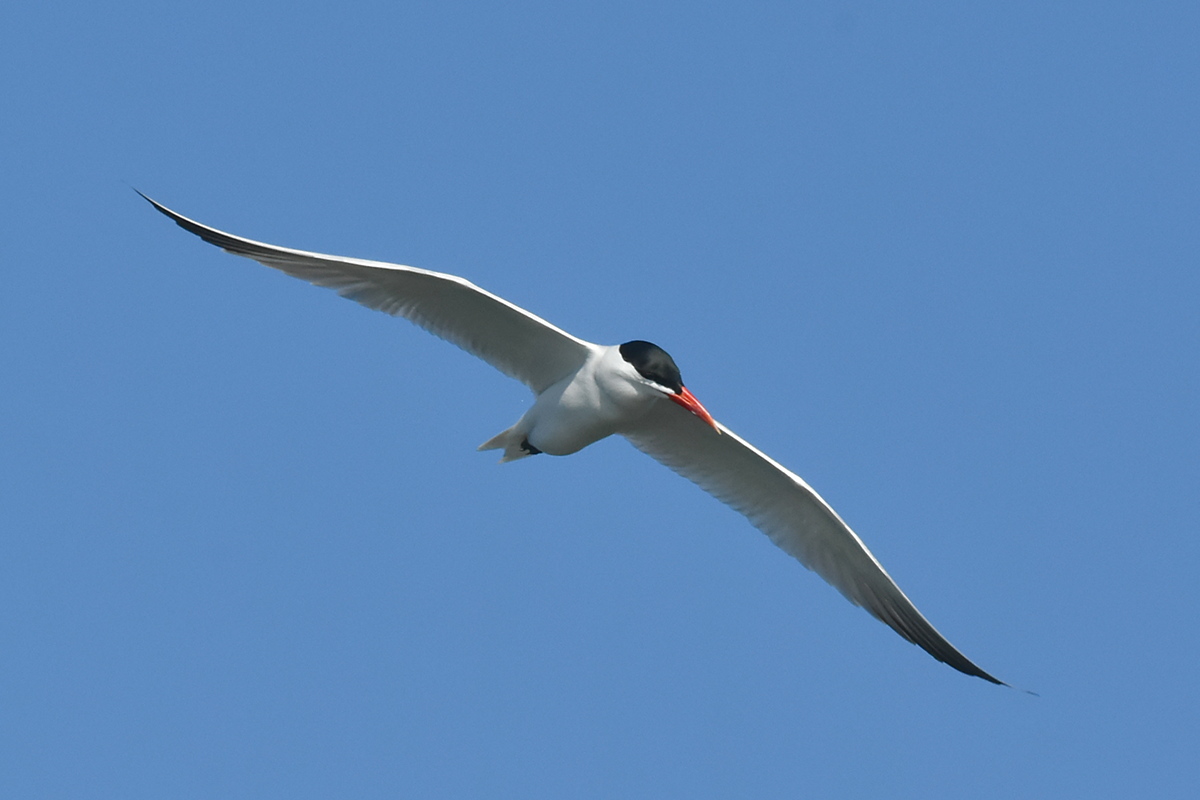 Memorial Day Weekend at Crown Point 09