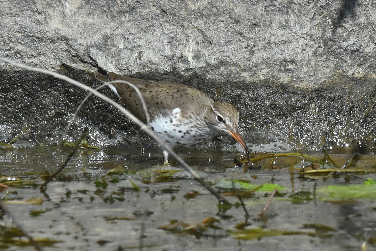 Memorial Day Weekend at Crown Point 11