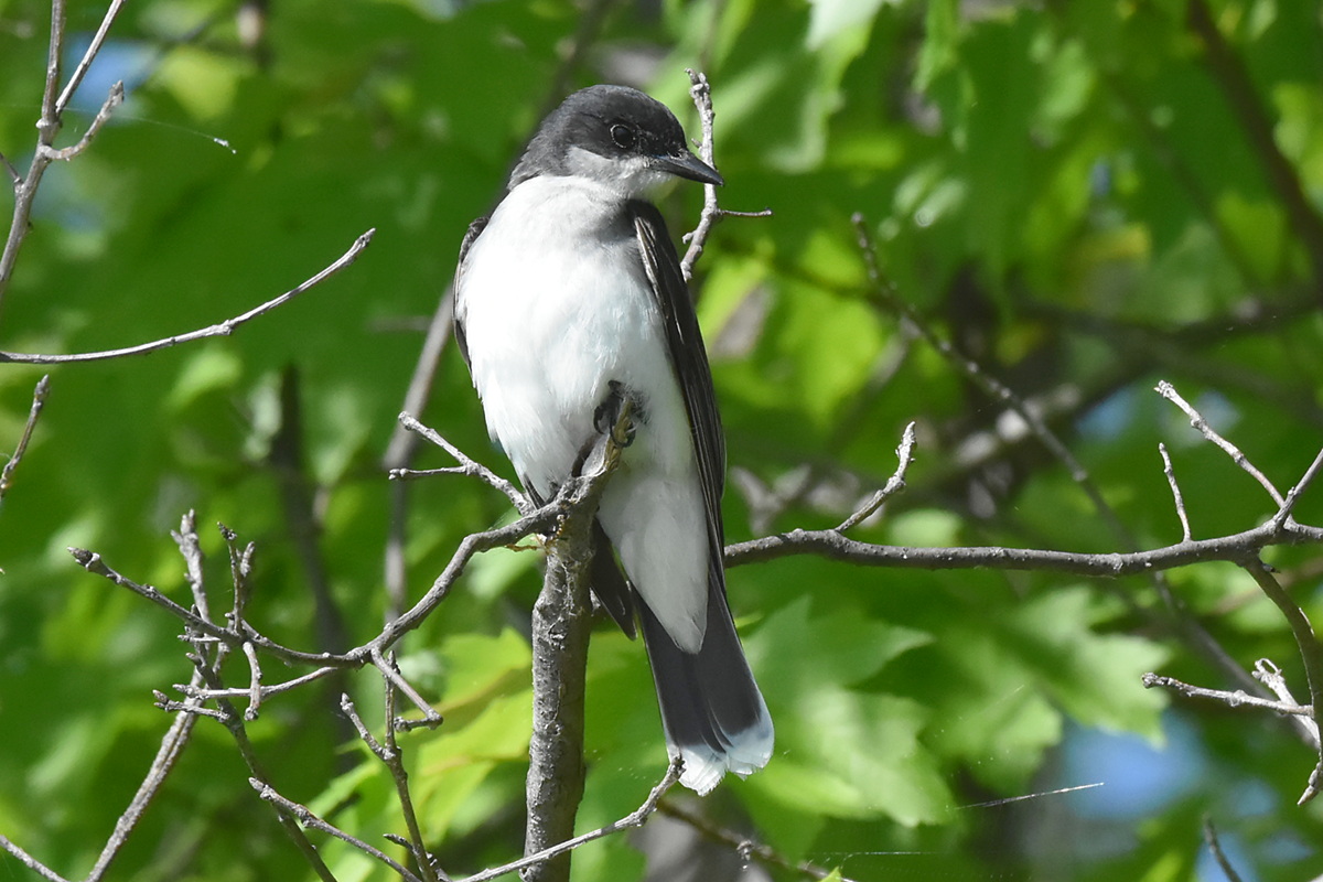 Memorial Day Weekend at Crown Point 12