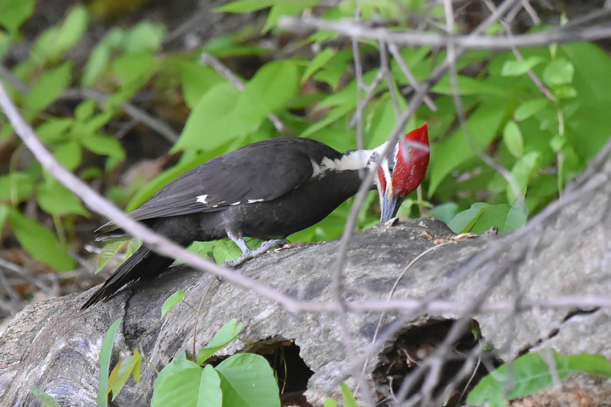 Memorial Day Weekend at Crown Point 14