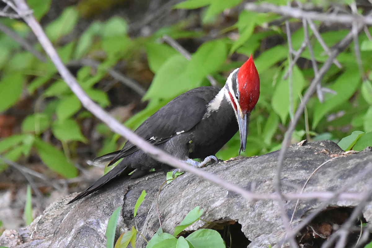 Memorial Day Weekend at Crown Point 15