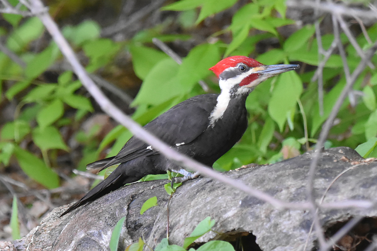 Memorial Day Weekend at Crown Point 17