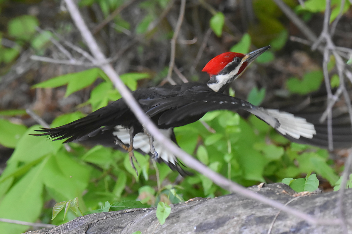 Memorial Day Weekend at Crown Point 18