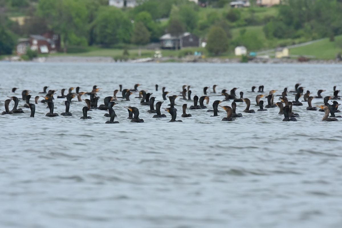 Memorial Day Weekend at Crown Point 24
