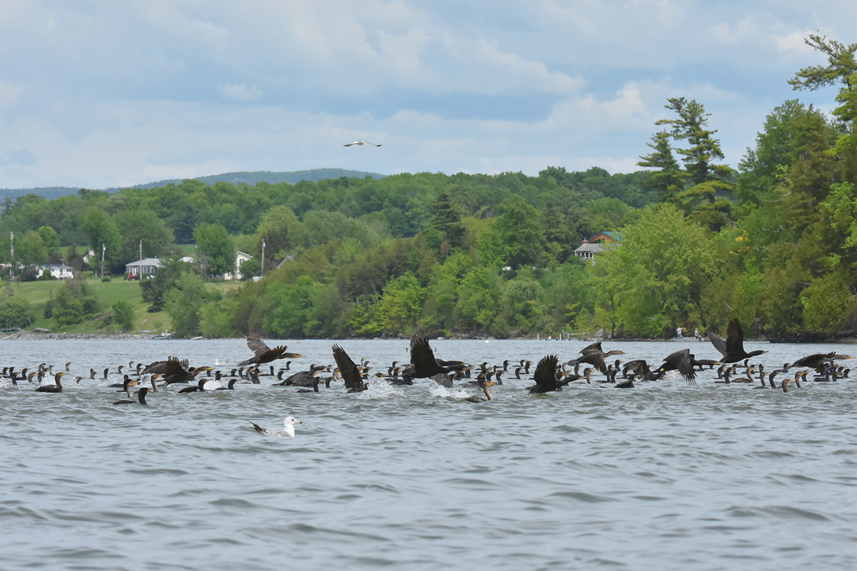 Memorial Day Weekend at Crown Point 25