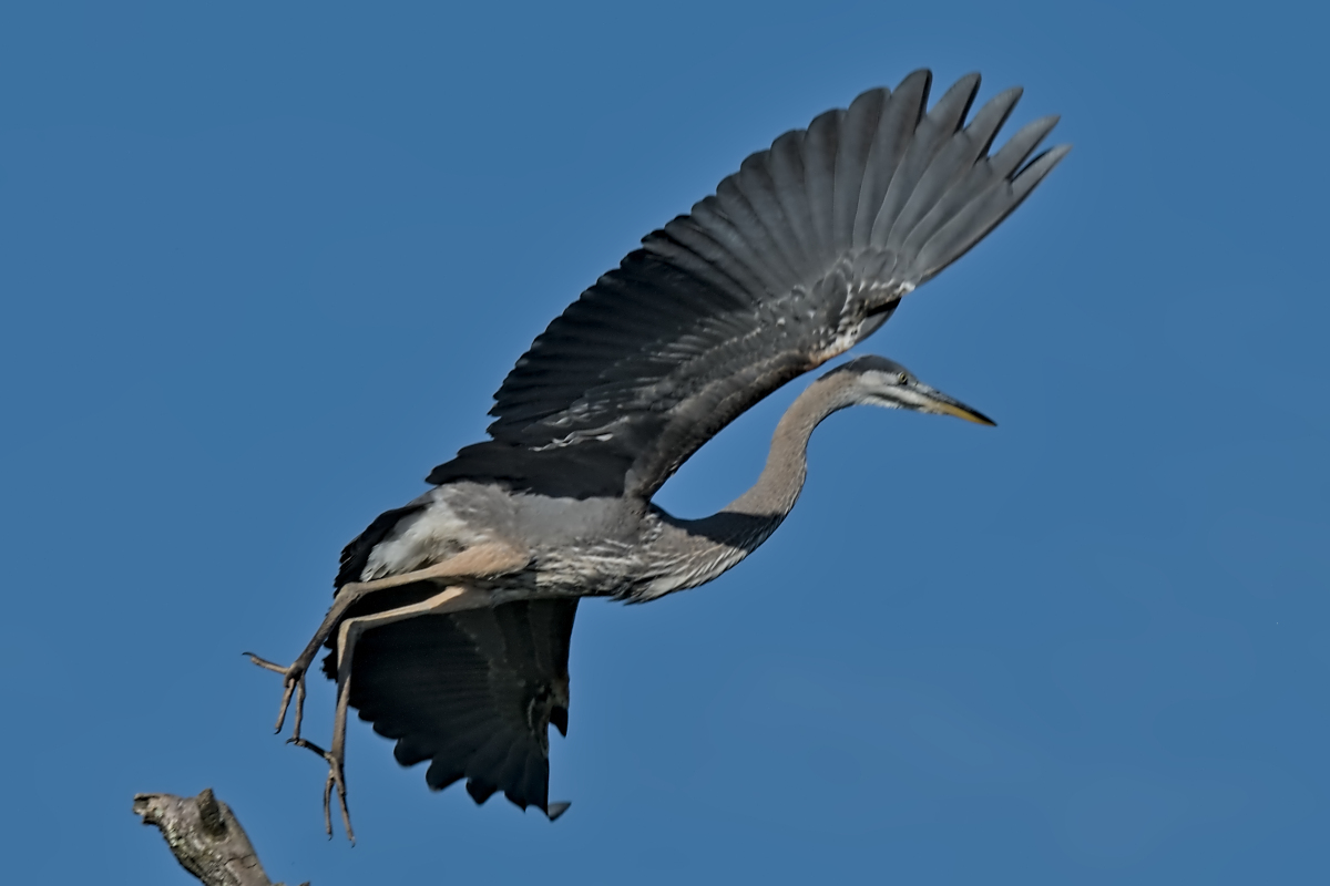 Summer Mornings on the Hudson 25