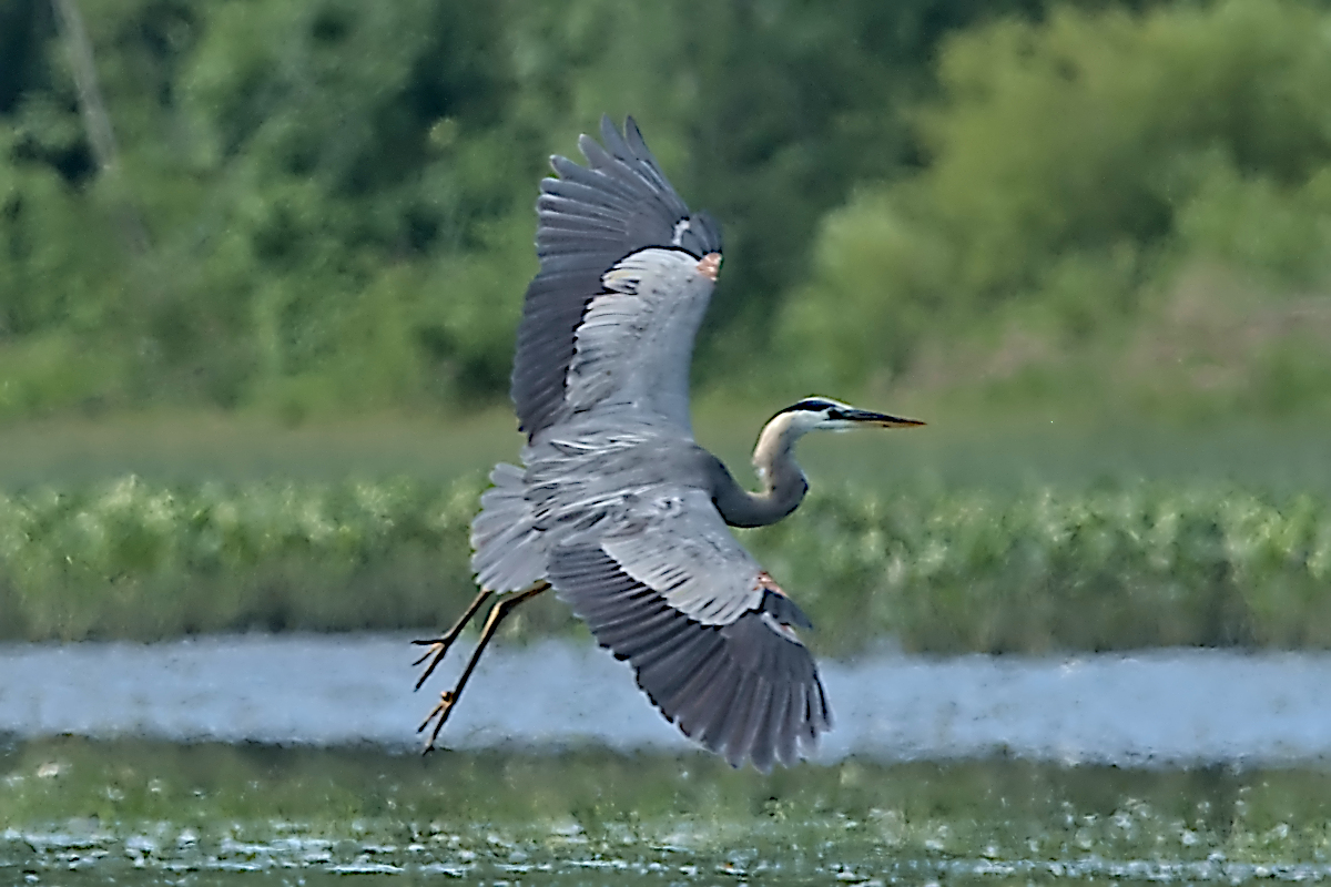 Summer Mornings on the Hudson 27