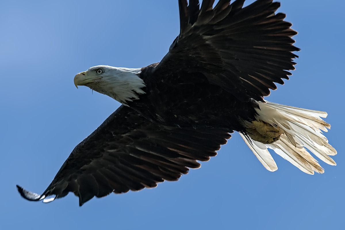 Summer Mornings on the Hudson 43