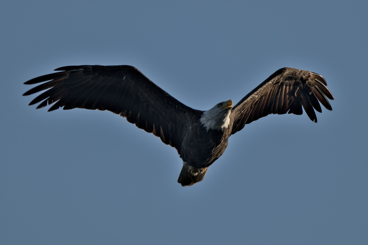 Summer Mornings on the Hudson 73