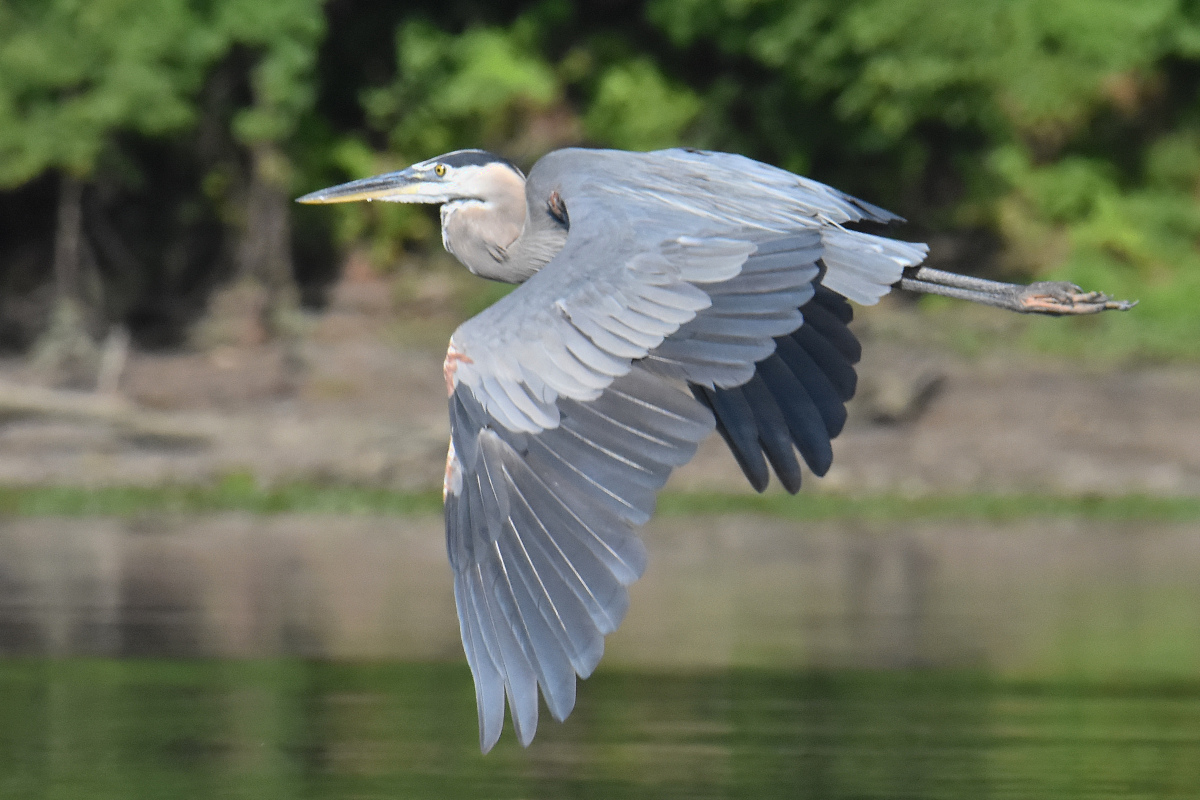 Hudson River (Rattlesnake Island&ndash;Mill Creek area) 02