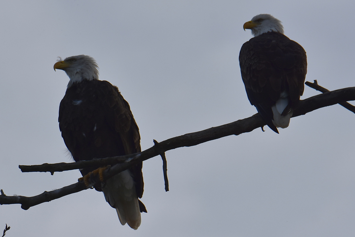 Warm September Mornings on the Hudson River 03
