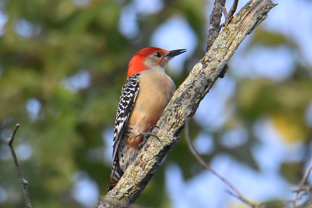 Warm September Mornings on the Hudson River 04
