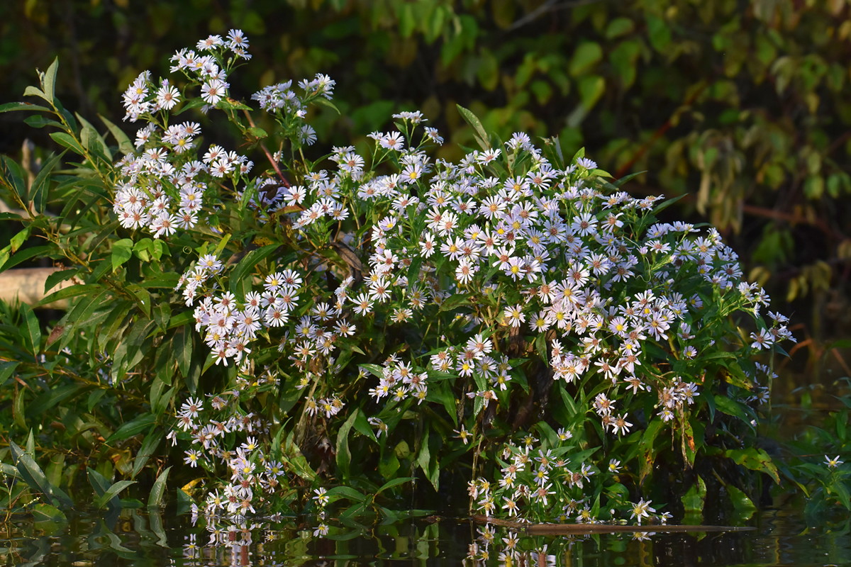 Warm September Mornings on the Hudson River 05