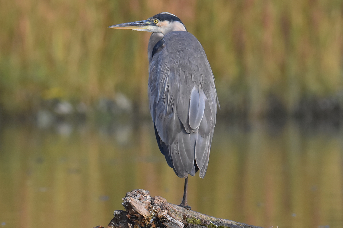 Warm September Mornings on the Hudson River 06