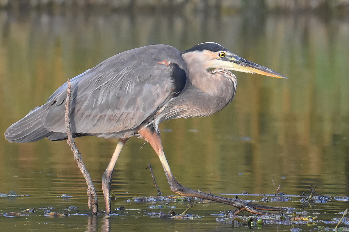 Warm September Mornings on the Hudson River 07