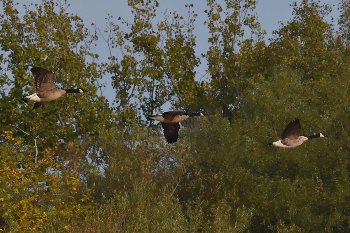 Warm September Mornings on the Hudson River 08