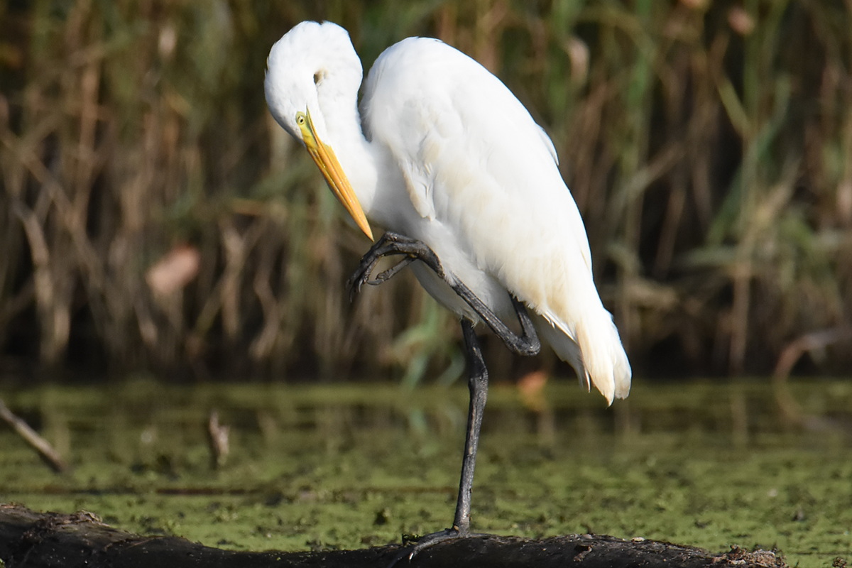 Warm September Mornings on the Hudson River 10