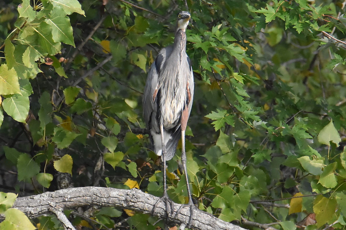 Warm September Mornings on the Hudson River 11
