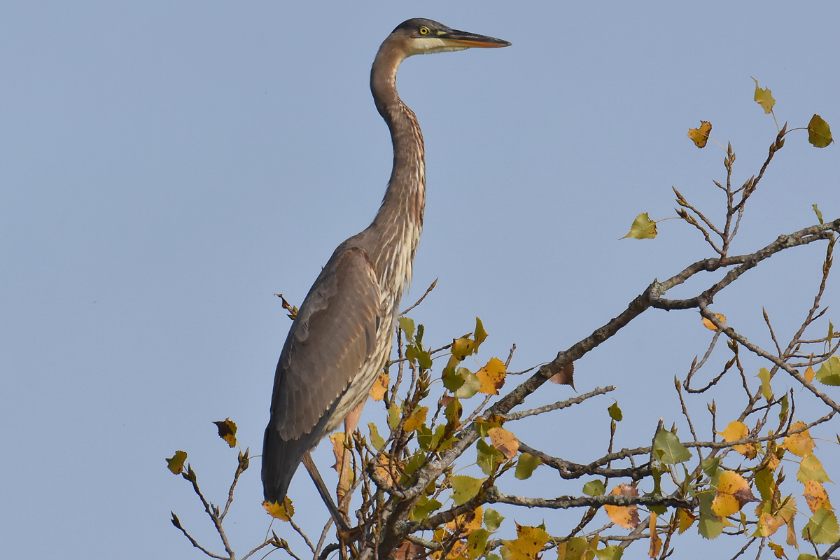 Warm September Mornings on the Hudson River 12