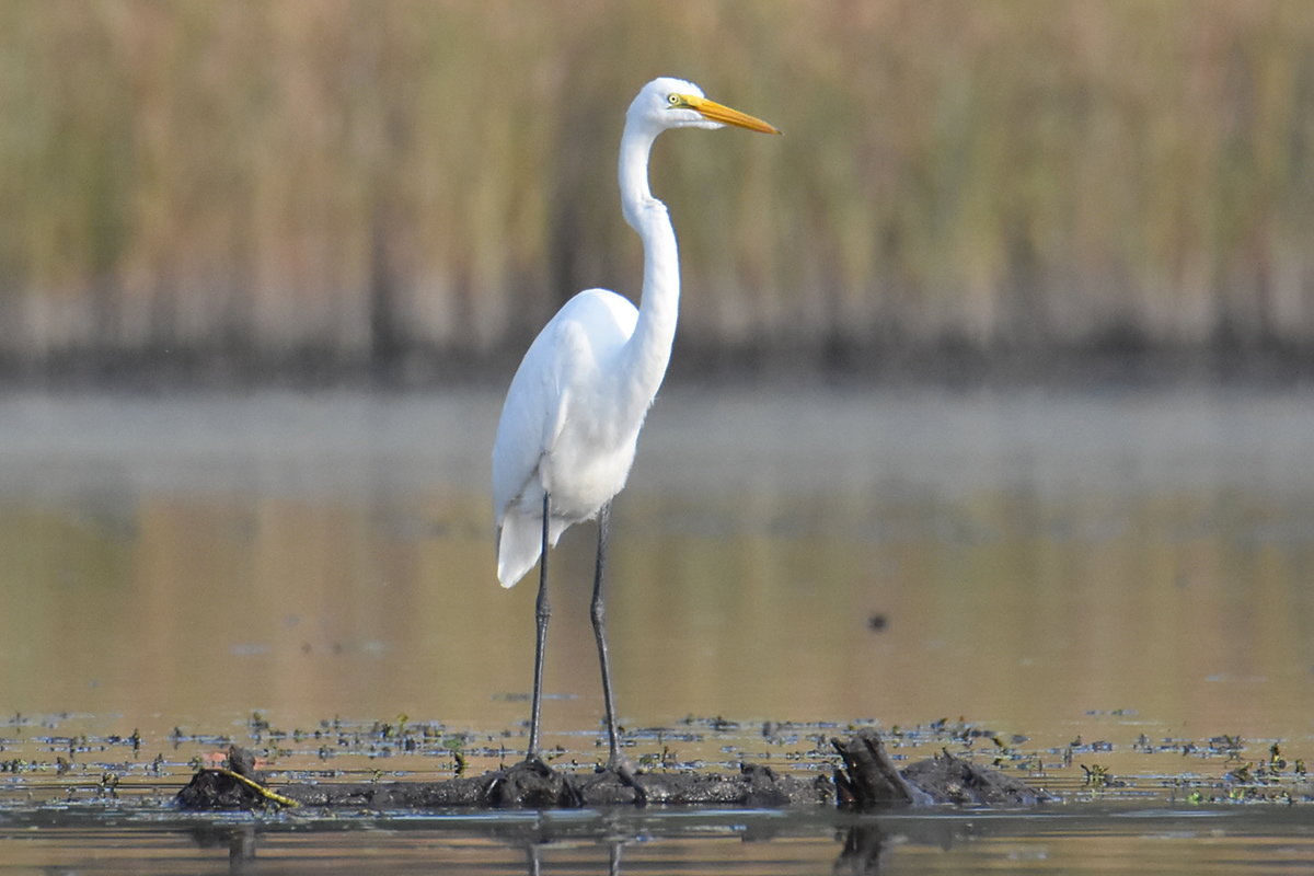 Warm September Mornings on the Hudson River 13