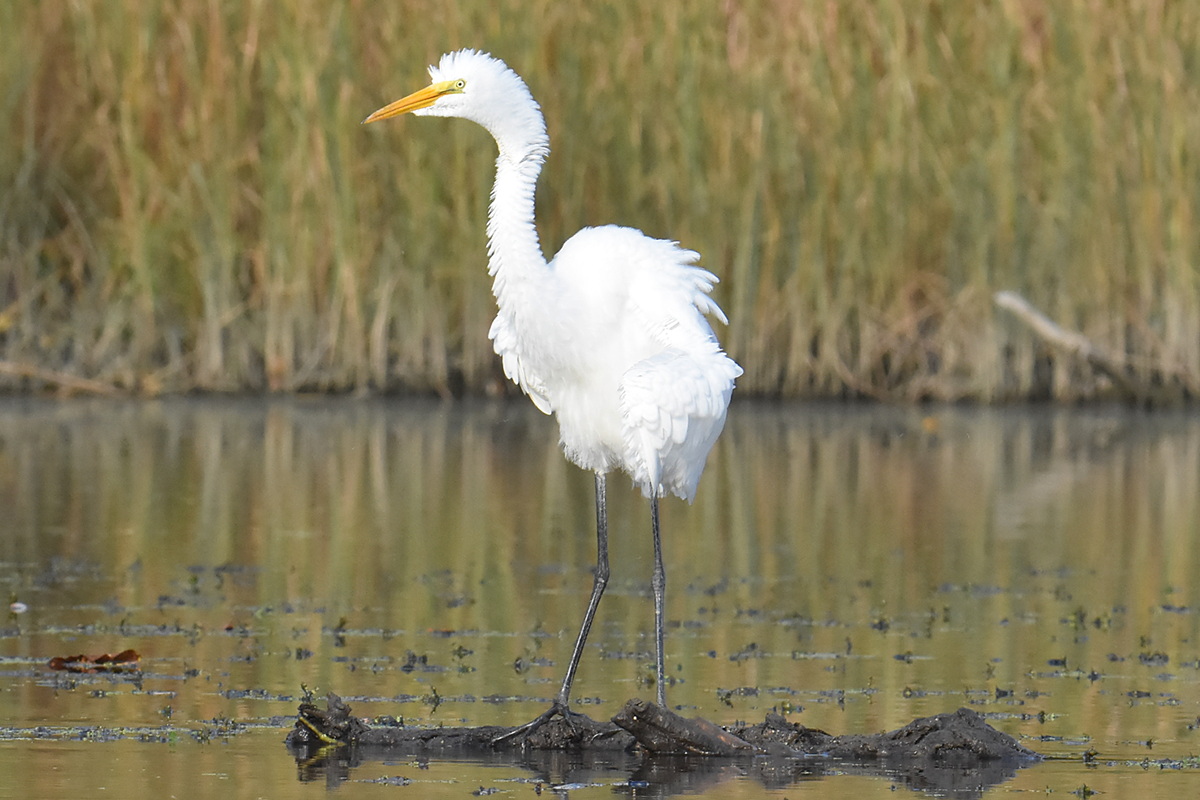 Warm September Mornings on the Hudson River 14