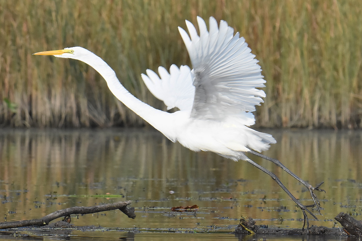 Warm September Mornings on the Hudson River 15