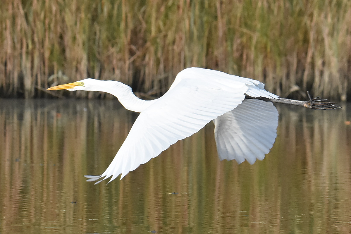 Warm September Mornings on the Hudson River 16