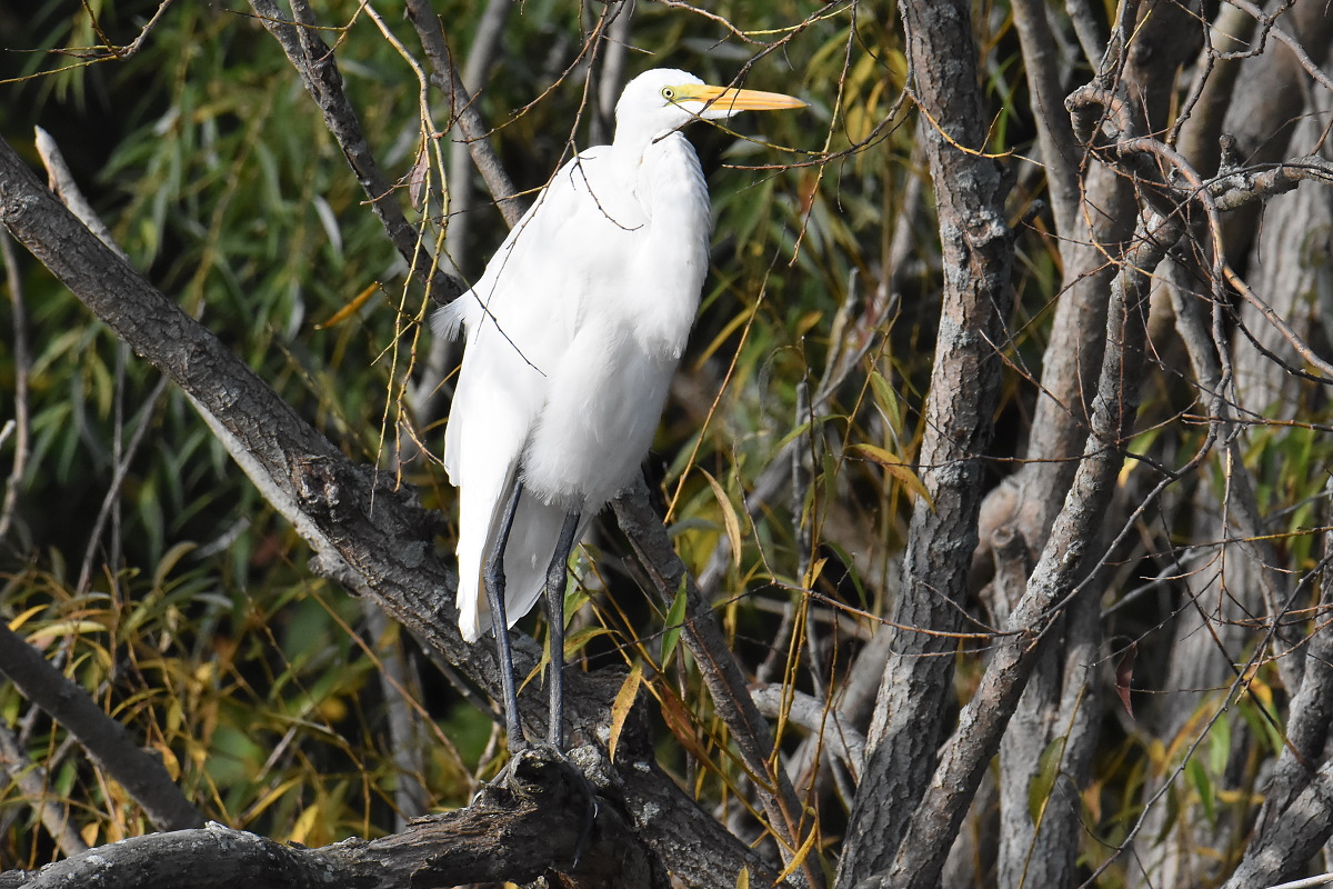 Warm September Mornings on the Hudson River 17
