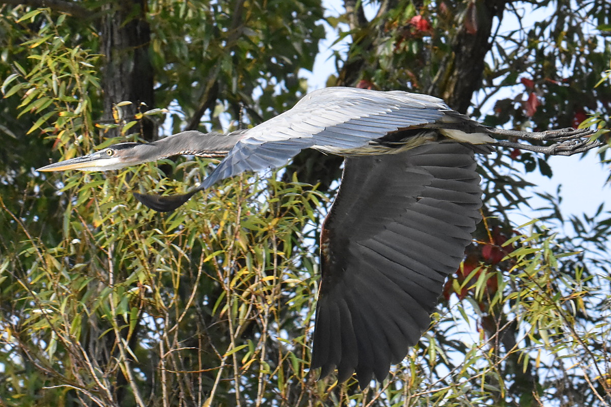 Warm September Mornings on the Hudson River 18