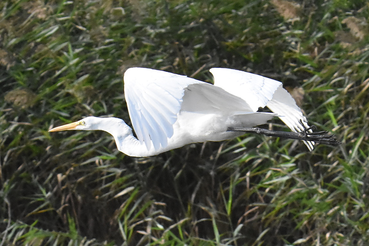 Warm September Mornings on the Hudson River 19