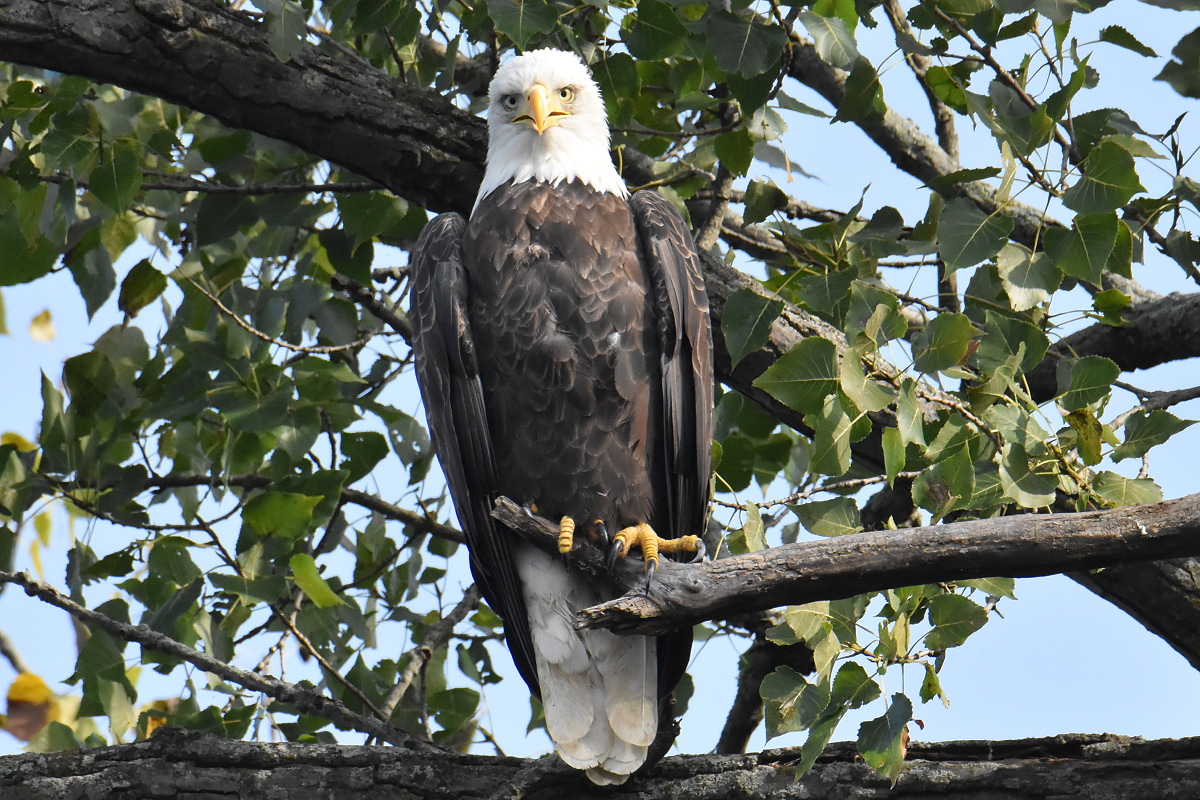 Warm September Mornings on the Hudson River 21