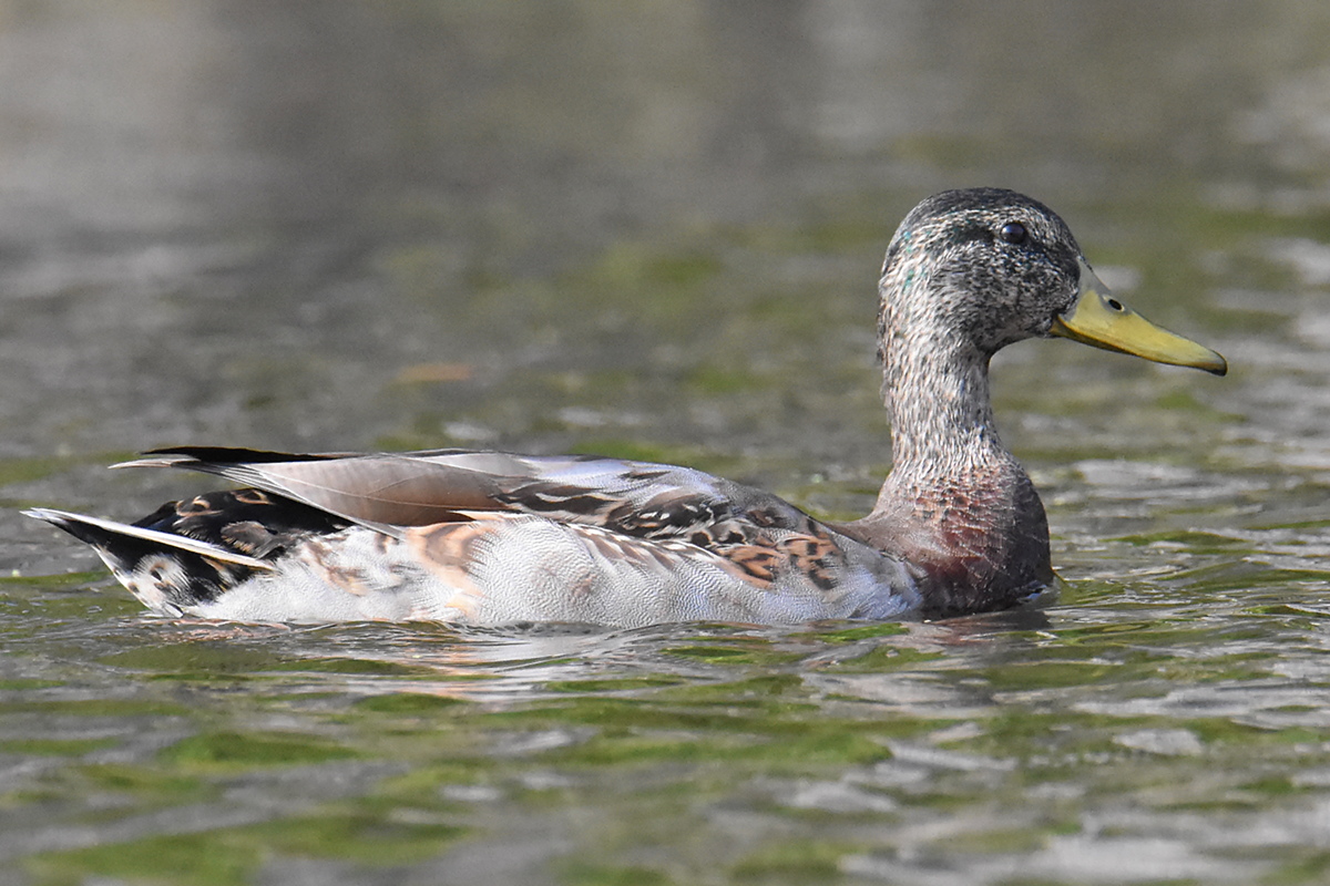 Warm September Mornings on the Hudson River 22