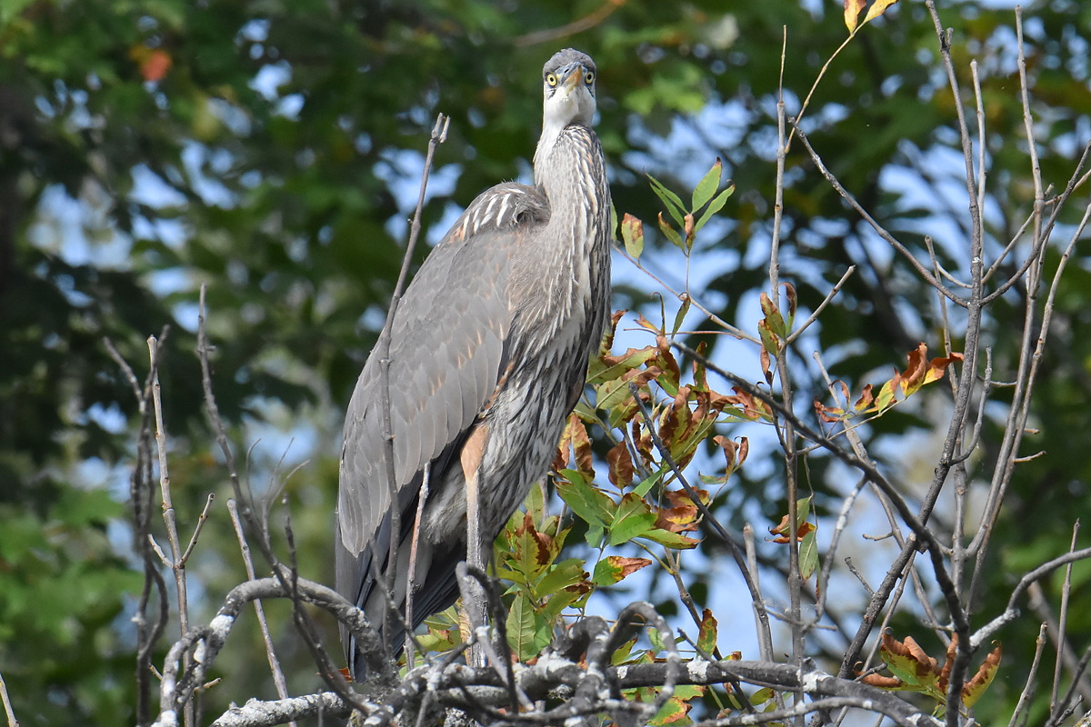 Warm September Mornings on the Hudson River 23