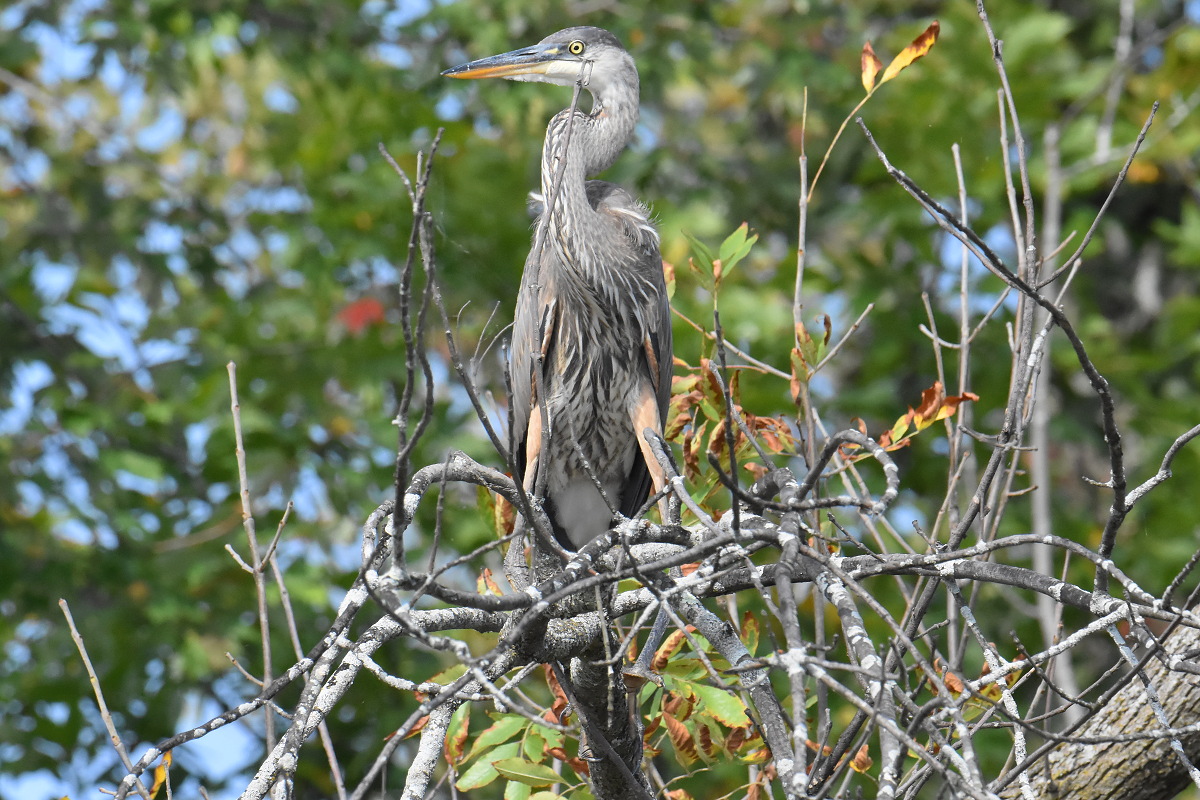 Warm September Mornings on the Hudson River 24