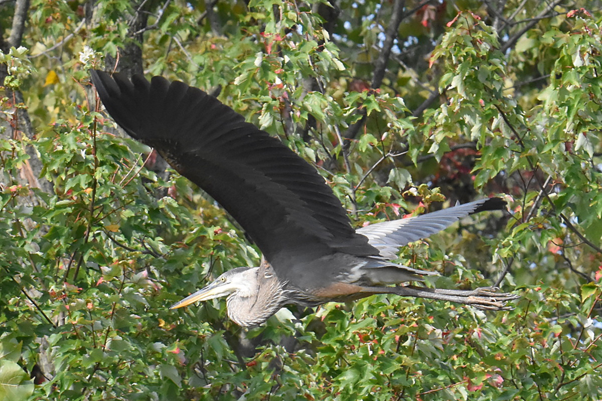 Warm September Mornings on the Hudson River 25