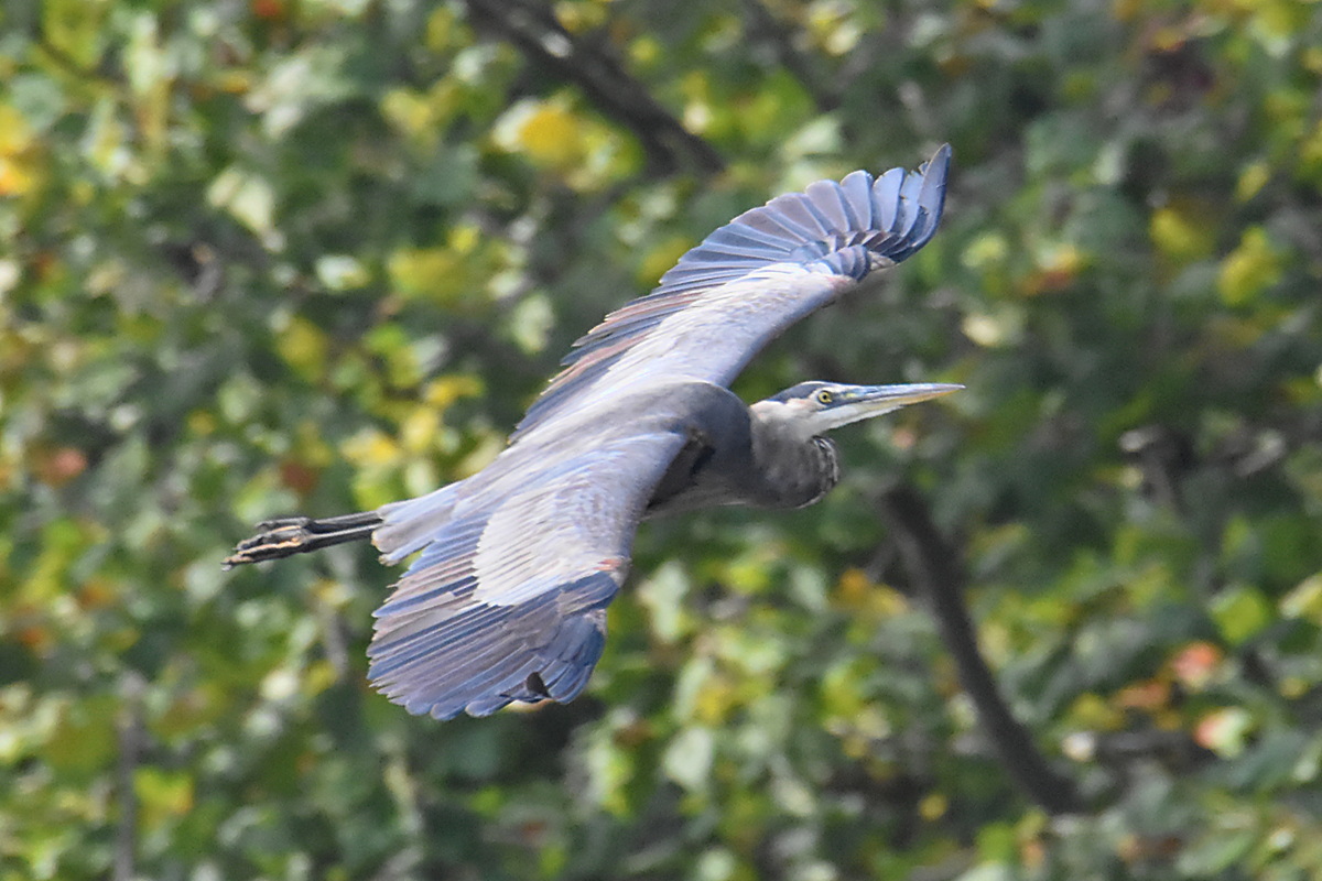 Warm September Mornings on the Hudson River 26