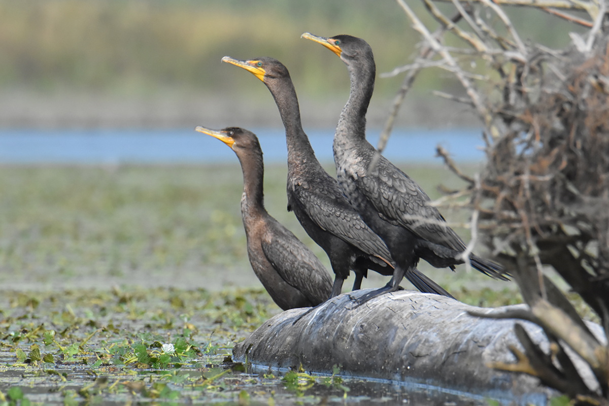 Warm September Mornings on the Hudson River 27
