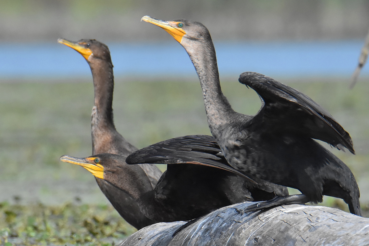 Warm September Mornings on the Hudson River 28