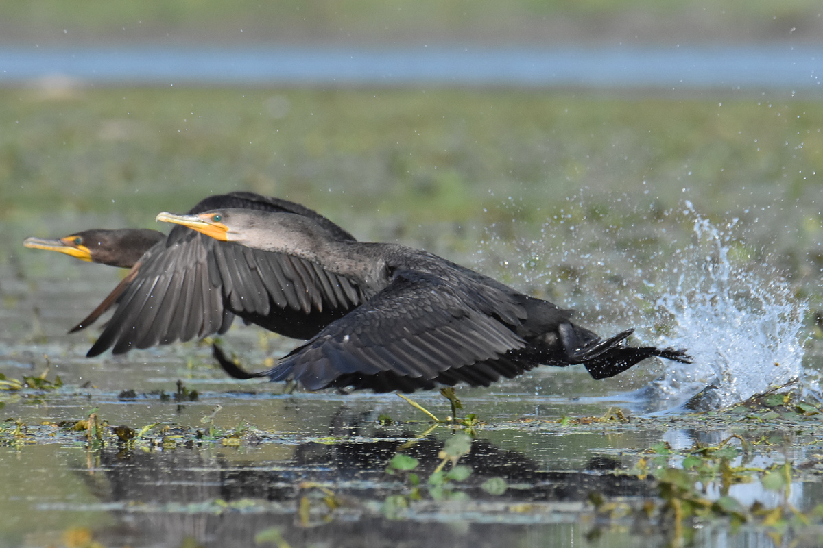 Warm September Mornings on the Hudson River 29