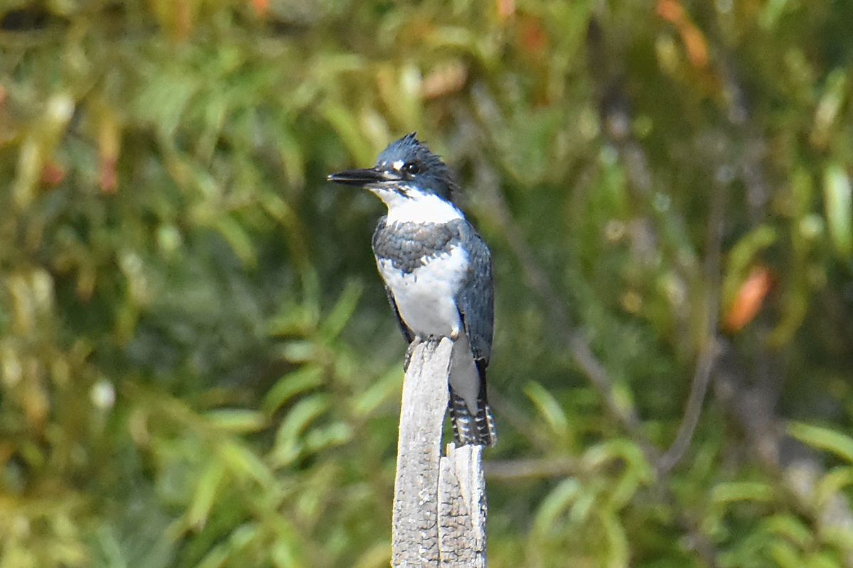 Warm September Mornings on the Hudson River 30