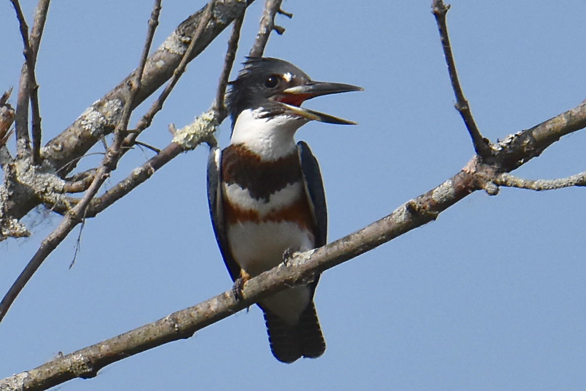 Warm September Mornings on the Hudson River 31