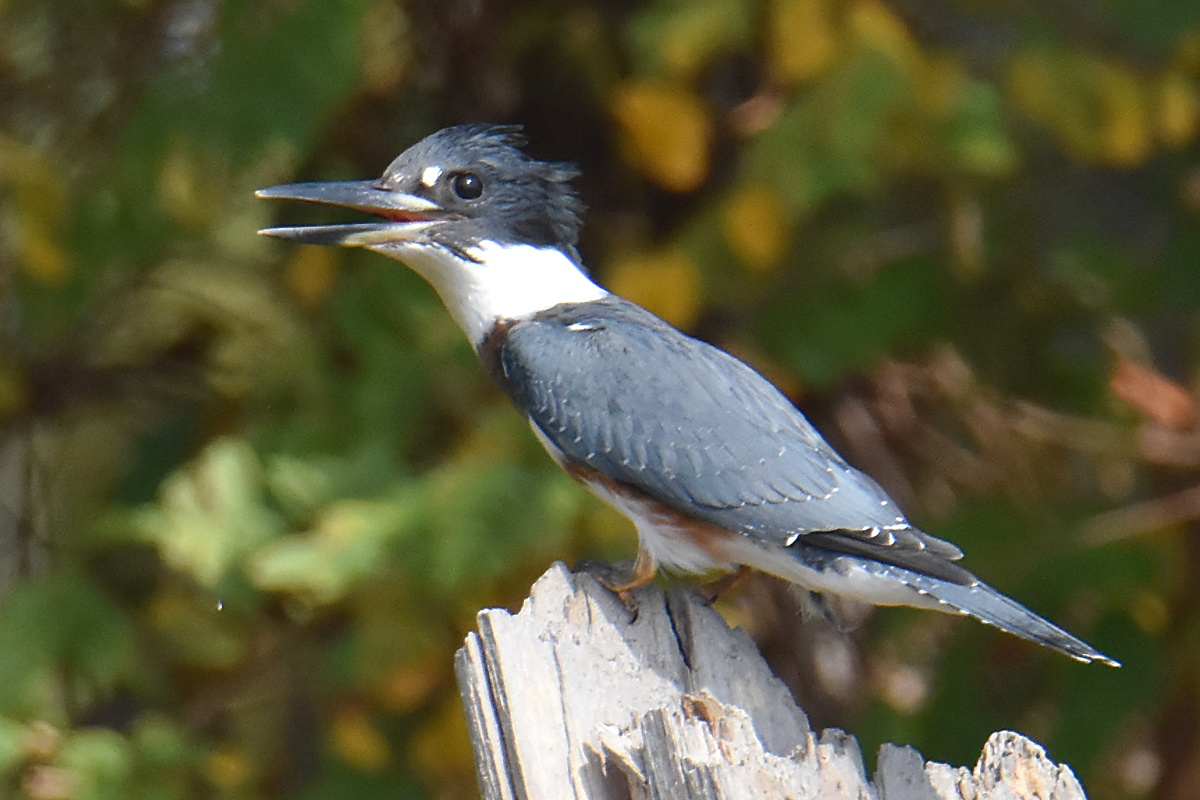 Warm September Mornings on the Hudson River 32