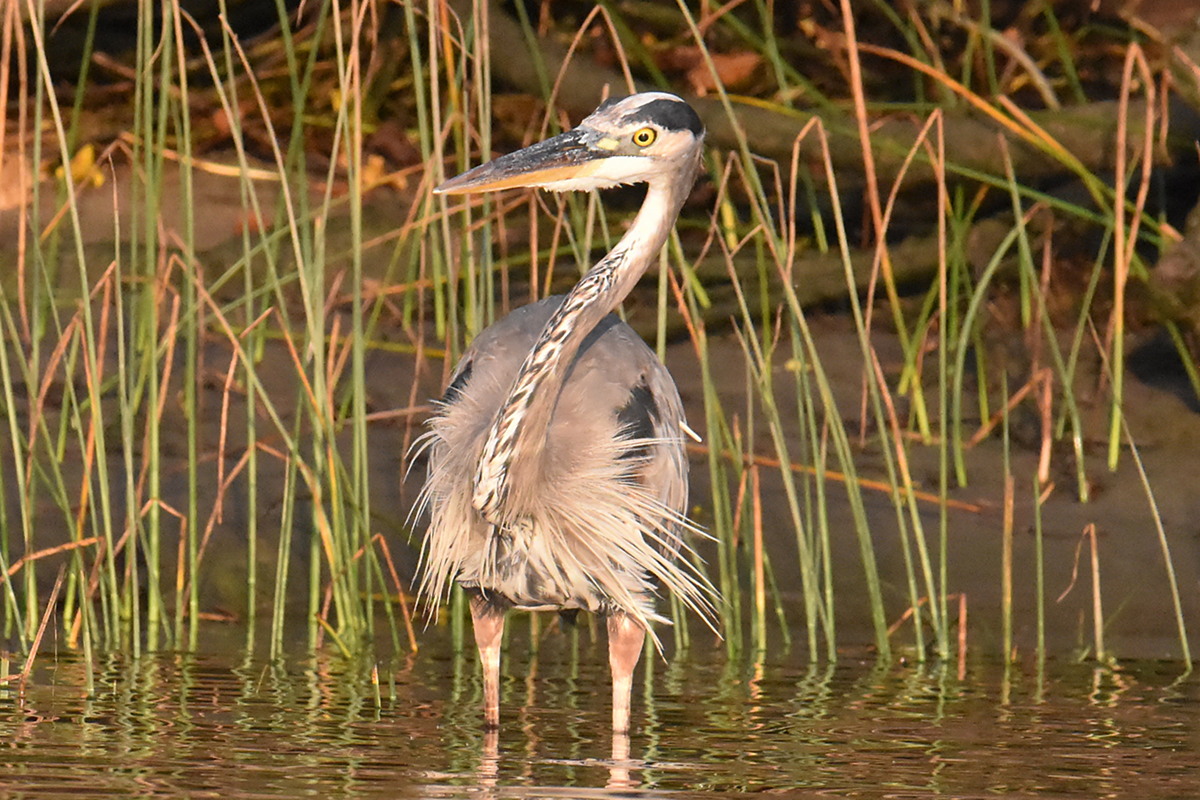 Warm September Mornings on the Hudson River 33
