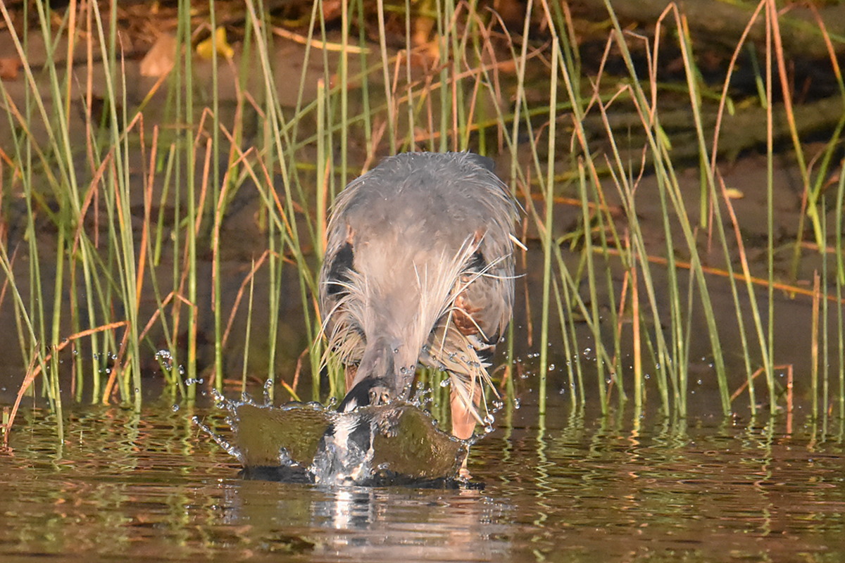 Warm September Mornings on the Hudson River 34