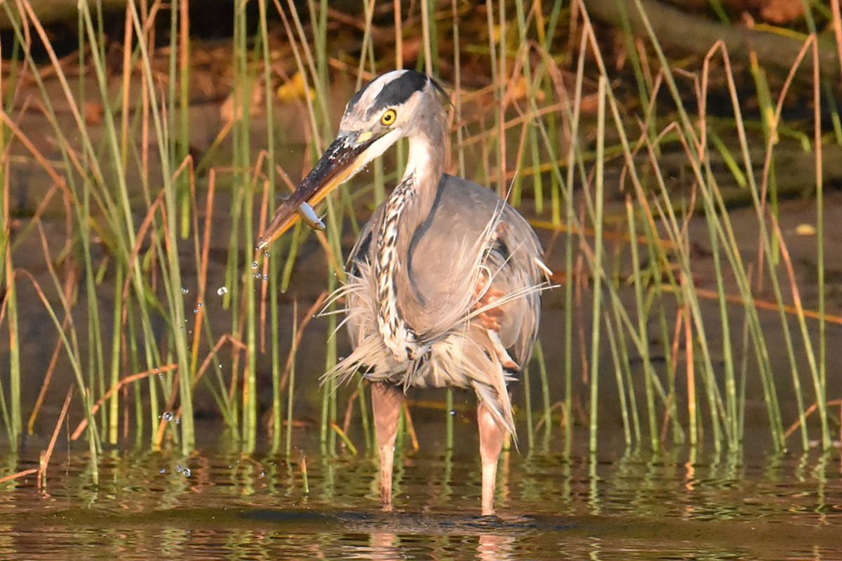 Warm September Mornings on the Hudson River 35