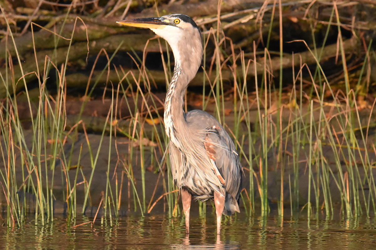 Warm September Mornings on the Hudson River 36